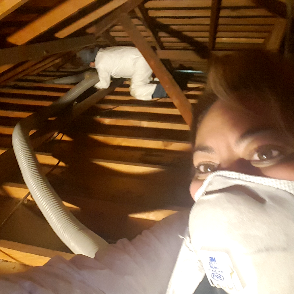 About Us- pictured cleaning an attic